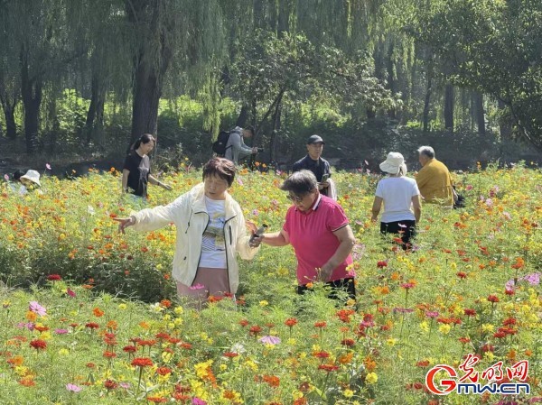 何以中国&middot;理想都城｜数字化技术再现圆明园昔日辉煌盛景