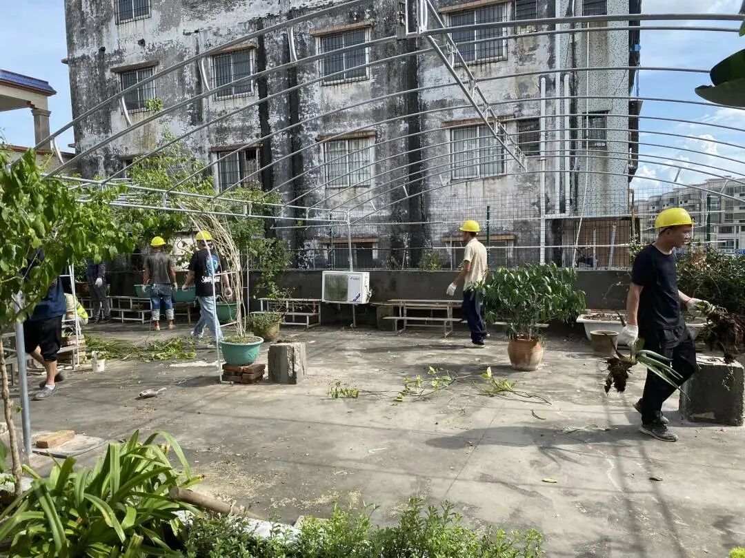 经“环境整治组”自行入户清理植物后,孙兰家的花园露台变得空空如也。(图_受访者供图)