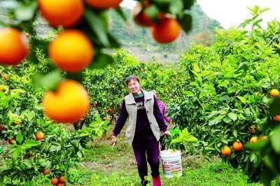 锚定目标，打好年底“收官仗”