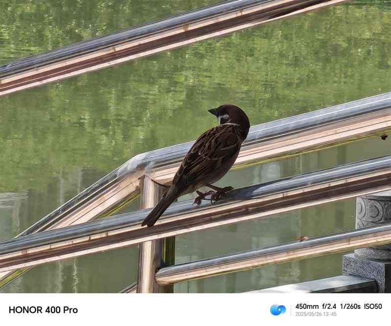 鱼与熊掌全都要!荣耀400 Pro评测:7.8mm机身塞进旗舰性能和影像