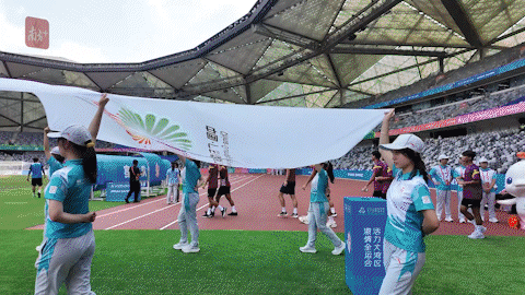 国际志愿者日，在赛场听见“小海豚”的声音