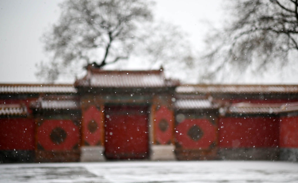 2019年/摄影:金良快