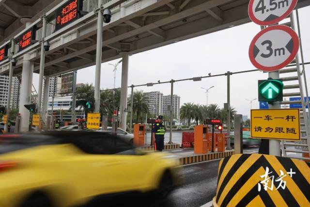 合作区全岛实施“分线管理”。资料图片