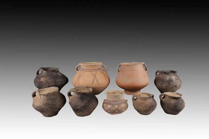 △寺洼遗址内出土的半山类型陶器。新华社发（寺洼遗址联合考古队供图）