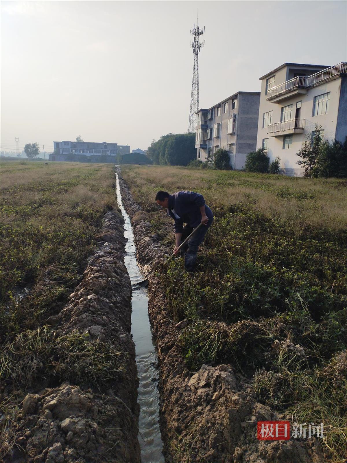 花生地排水.jpg