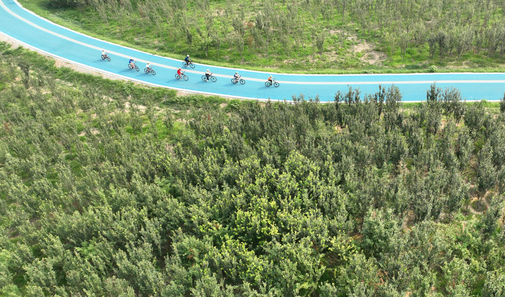 2024年7月10日,自行车爱好者在石家庄市环城绿道北线骑行休闲。近年来,石家庄依托滹沱河、环城水系等优质景观资源,通过架设桥梁、提升景观和完善绿地等措施,打造景美、智游、畅达的城市绿道健身体系,加强环城绿道与中心城区串联衔接,方便市民无障碍步行或骑行,提升群众生活幸福感和获得感。