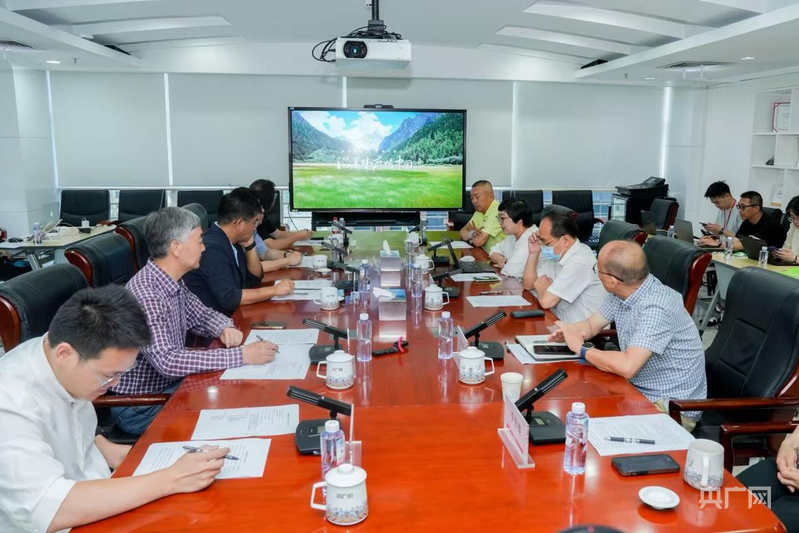 与会人员进行看片交流（央广网记者王综鹤 摄）