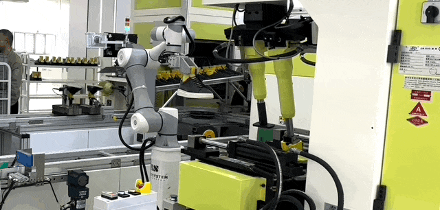 关税风暴下，温州企业如何以“地瓜式”韧性突围→