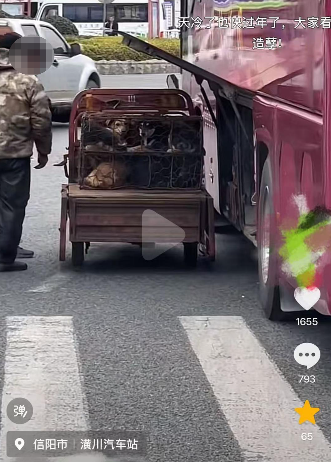 ▲网友拍摄的视频