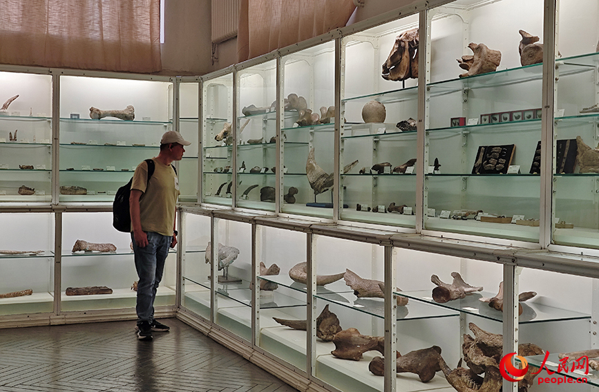 游客参观北疆博物院。人民网记者 孙一凡摄