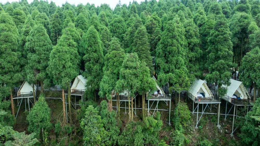 图为重庆市石柱土家族自治县“鹿营家”刀背梁森林营地。（采访对象供图）