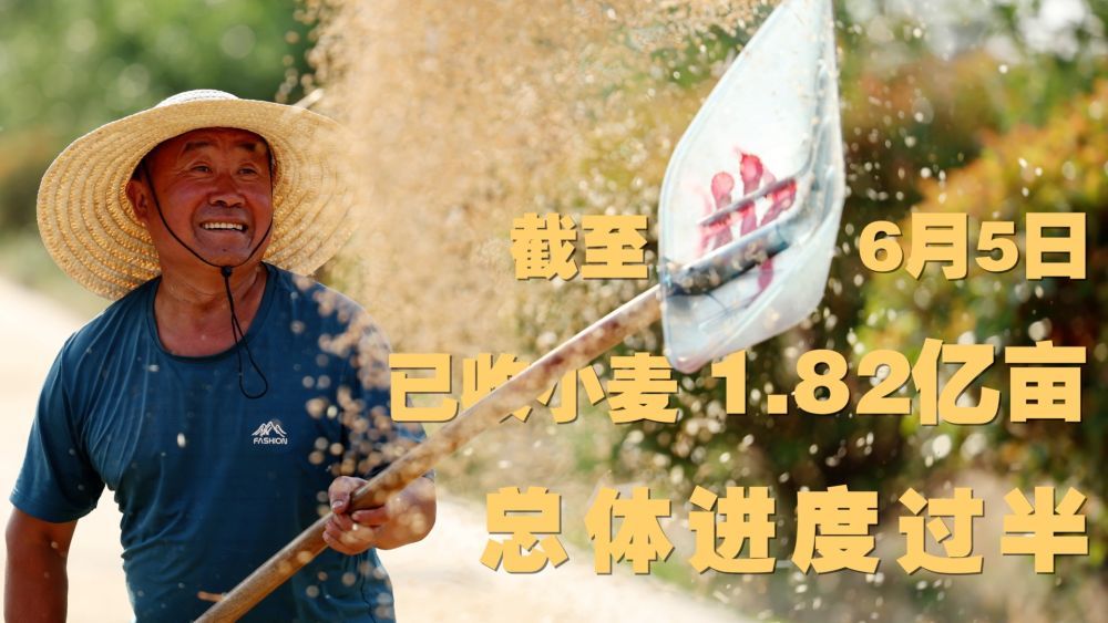 微视频｜“三夏”农忙时节 “数”看各地丰收图景