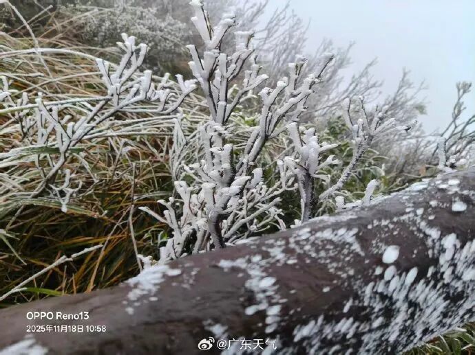 零下1度!广东结冰了