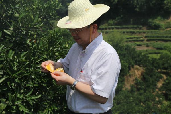 图片 9.jpg
