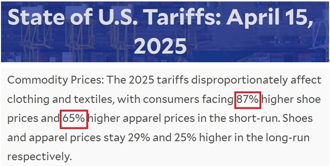 耶鲁大学预算实验室报告截图