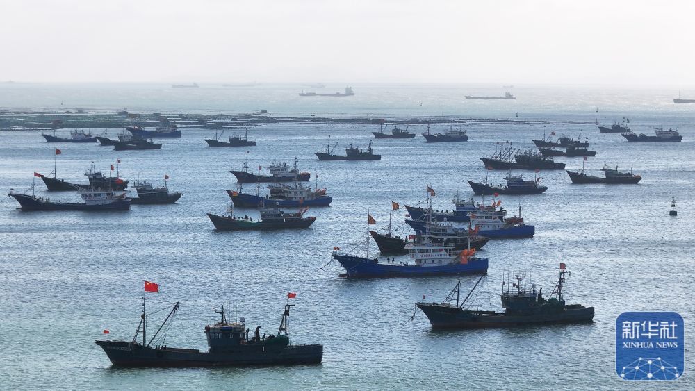 ↑ 12月11日,渔船集中在山东省烟台市芝罘湾一处锚地下锚避风。新华社发(唐克摄)
