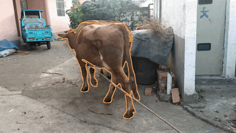 英伟达华人硬核AI神器秒变细节狂魔!仅3B逆袭GPT-4o