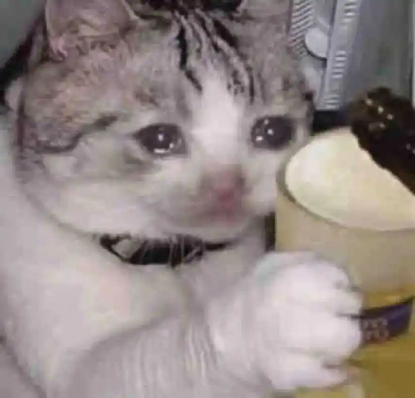 乐道CEO“引咎”辞职,他们这半年到底做错了啥?