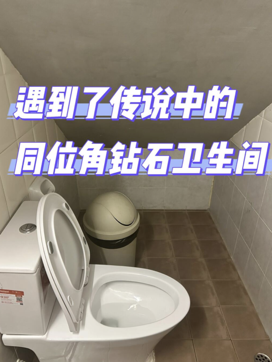 年轻人住房现状：今夜，我与马桶共眠__年轻人住房现状：今夜，我与马桶共眠