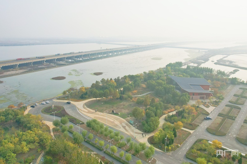 遗鸥公园临海建设，是鸟类南迁的栖息点之一（央广网记者 周思杨 摄）