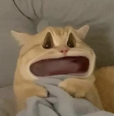 123页Claude 4行为报告发布:人类干坏事,可能会被它反手一个举报?