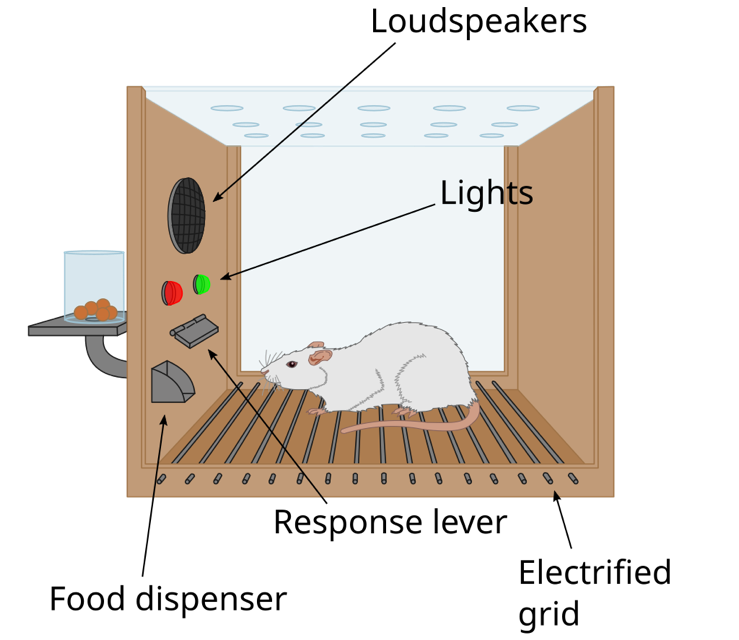 斯金纳箱示意图 | Wikipedia