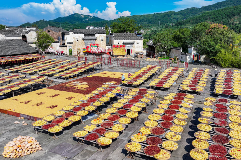 ↑2025年9月15日，农民在安徽省黄山市徽州区呈坎村晾晒稻谷、玉米、南瓜、红辣椒、笋干等农作物。（无人机照片）CICPHOTO/潘祯祥 摄