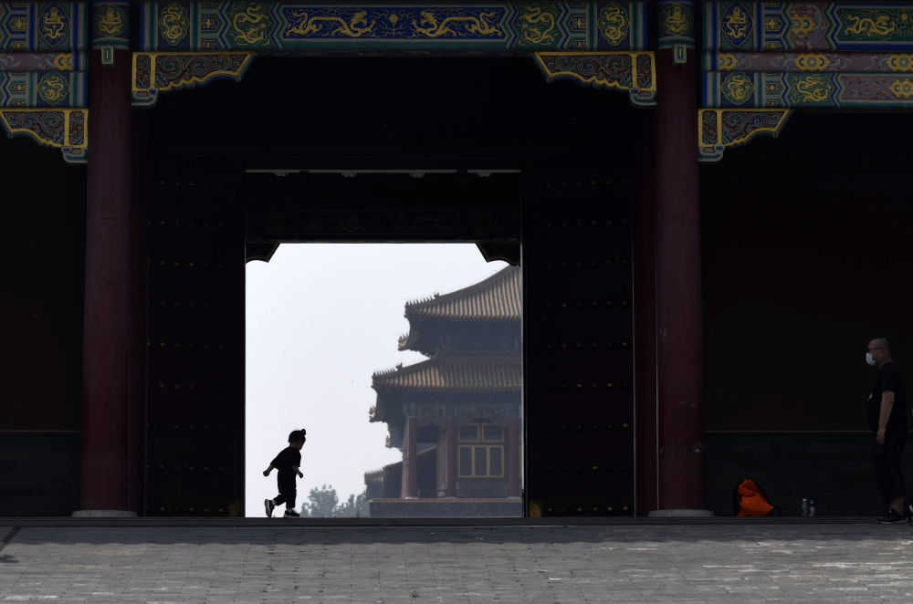 2020年/摄影:金良快