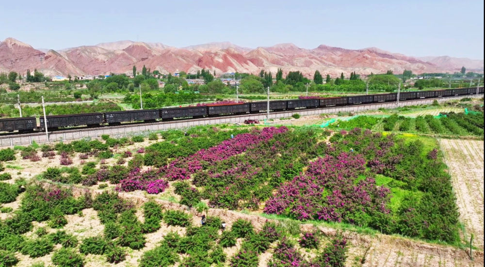 这是从空中拍摄的苦水镇。新华社发