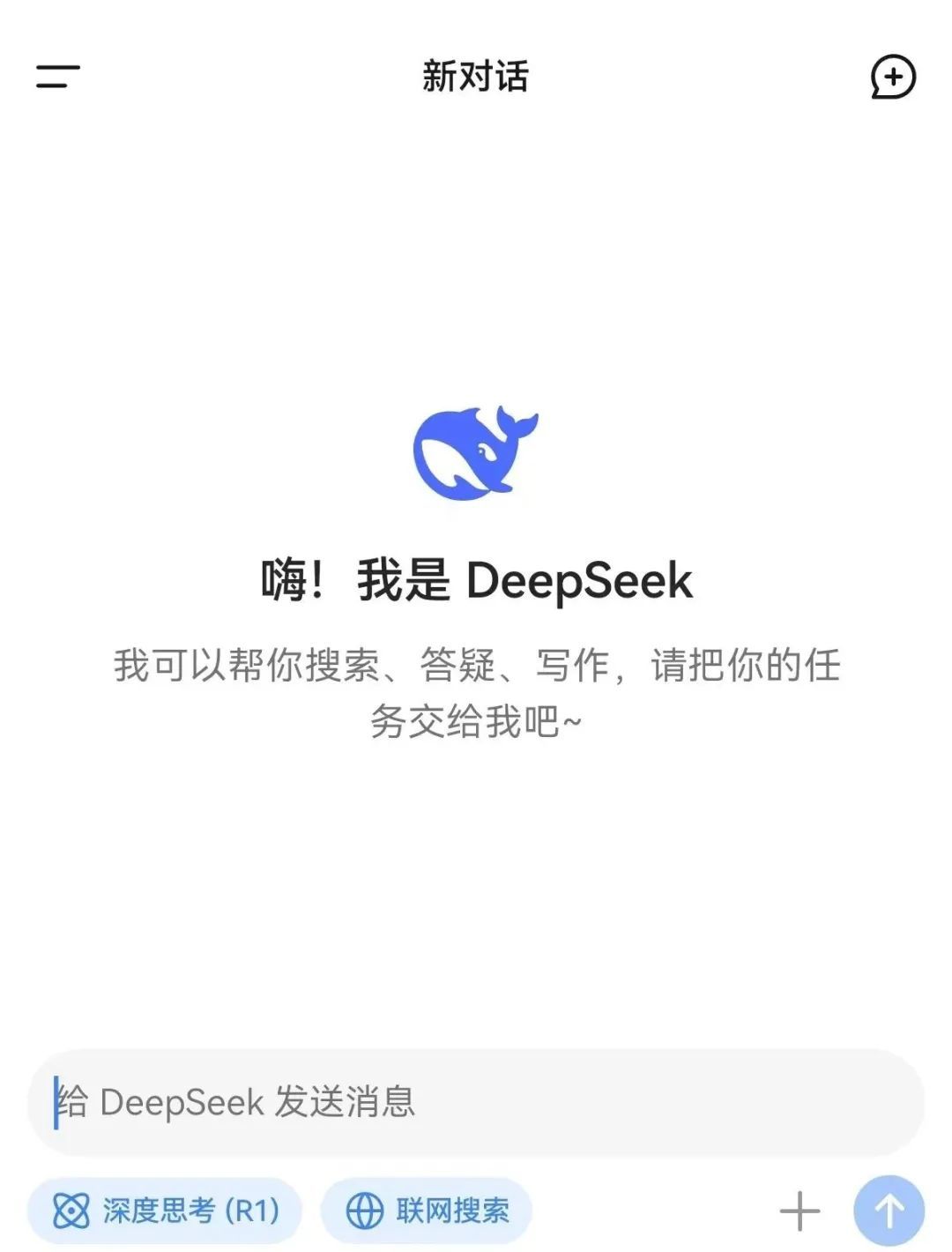 DeepSeek页面截图
