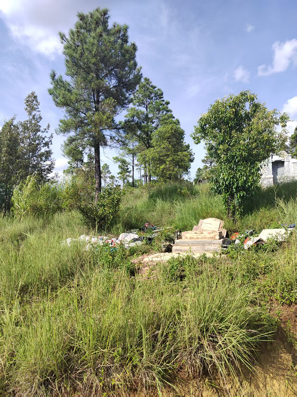 肇事方周某称小梦的坟墓建在了周家祖坟下方约三四米处。