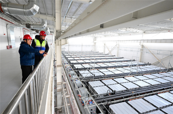 国内最大!银川电网侧铅碳储能电站投运