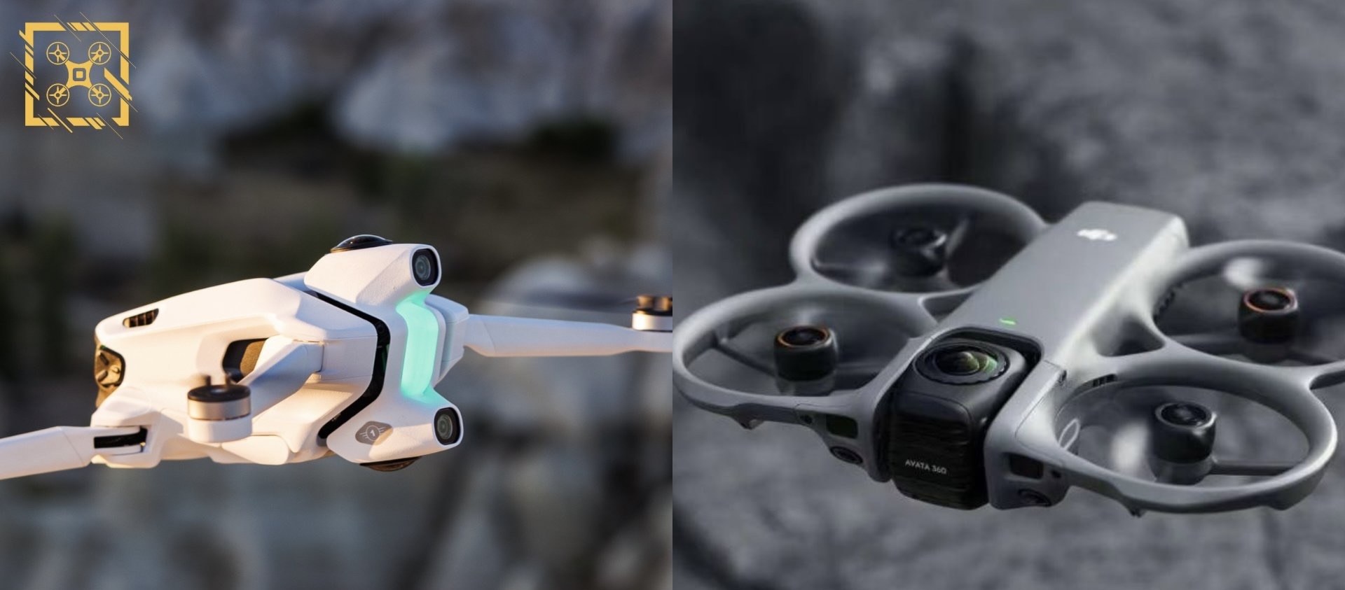 图源/Igor Bogdanov