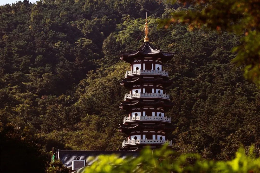 ▲普光明塔