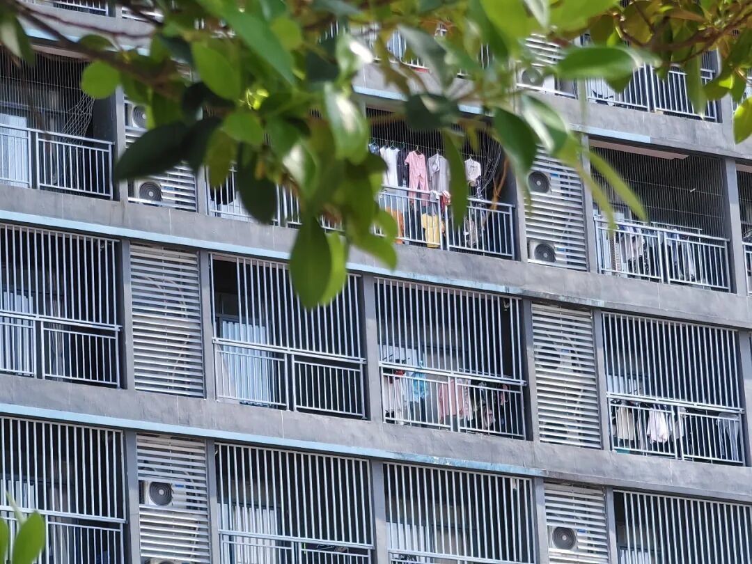 西港金贝4园区的阳台大多装有金属网。