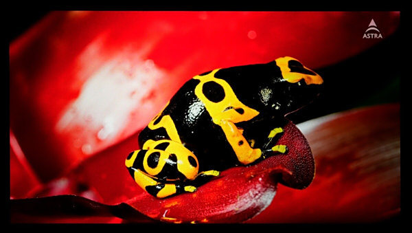 投影仪界的“六边形战士” 当贝S7 Ultra Max高端家用投影仪深度评测