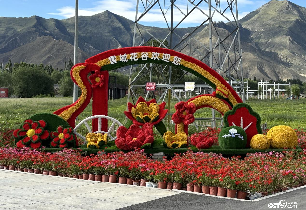 西藏自治区拉萨市曲水县才纳国家现代农业示范区(摄影 李婷婷)