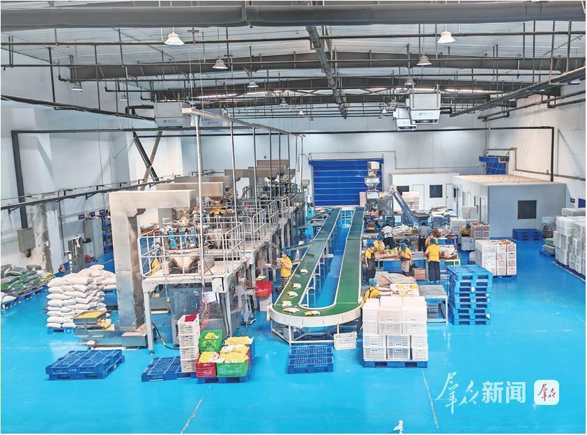 7月11日，在陕西青创联盟电子商务股份有限公司，工人在分拣包装车间作业。 群众新闻记者 霍海澎摄