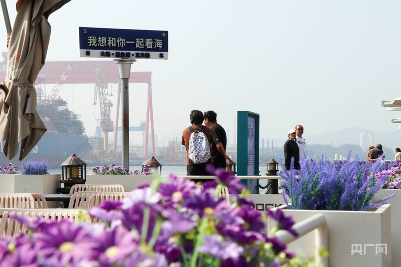 游客驻足欣赏海景(央广网记者 刘培俊 摄)
