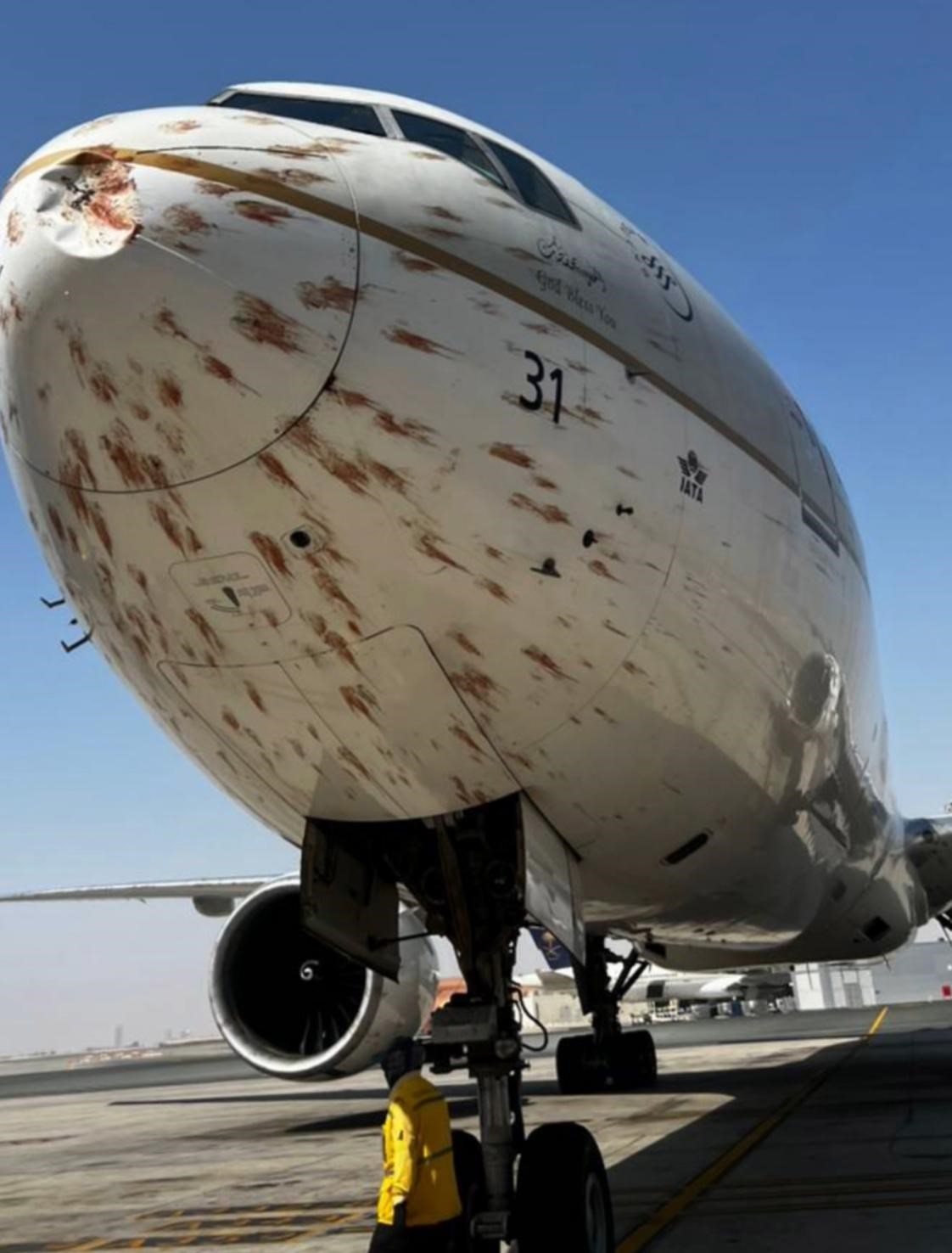 沙特阿拉伯航空公司一架客机从阿尔及利亚飞往沙特城市吉达时与一群候鸟相撞,机身出现划痕。 图源:RT报道配图