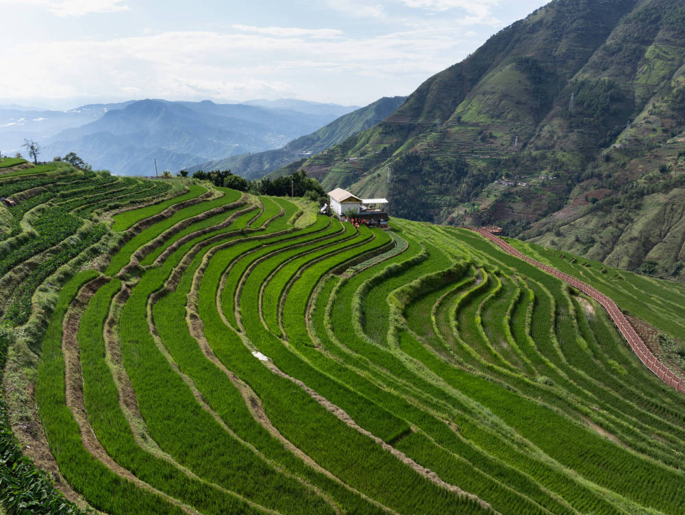 这是7月9日俯拍的四川省攀枝花市米易县新山傈僳族乡新山村梯田(无人机照片)。新华社记者 江宏景 摄