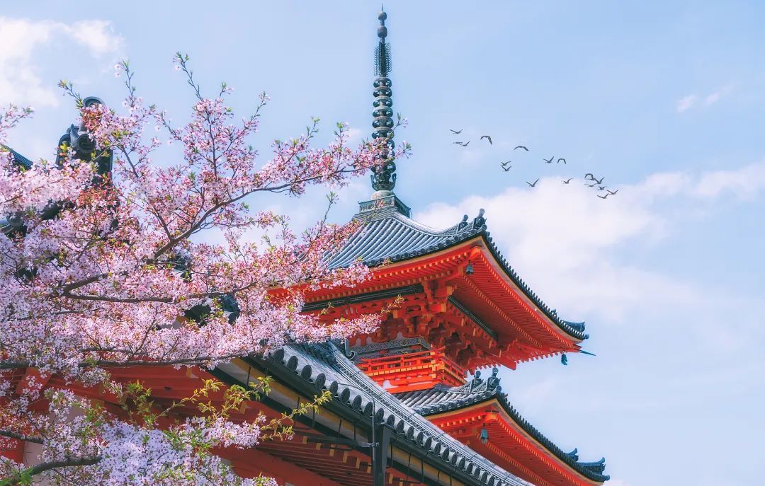 投资千万，在日本买寺庙的中国人后悔了