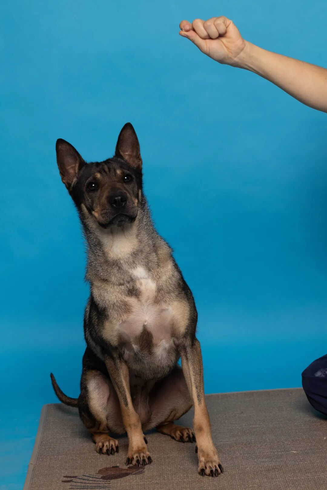 向左滑动,查看更多