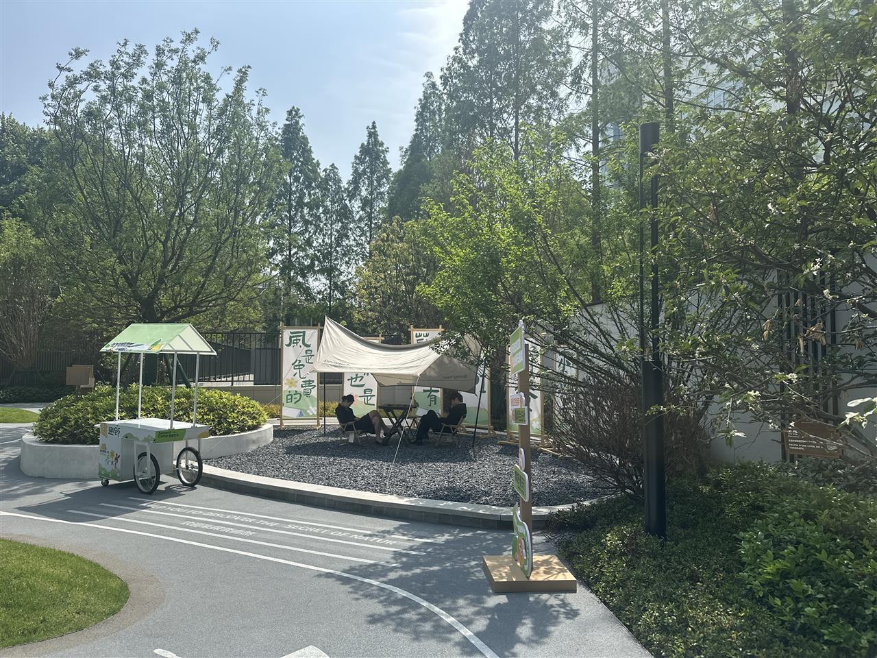 10 翼果营地.jpg