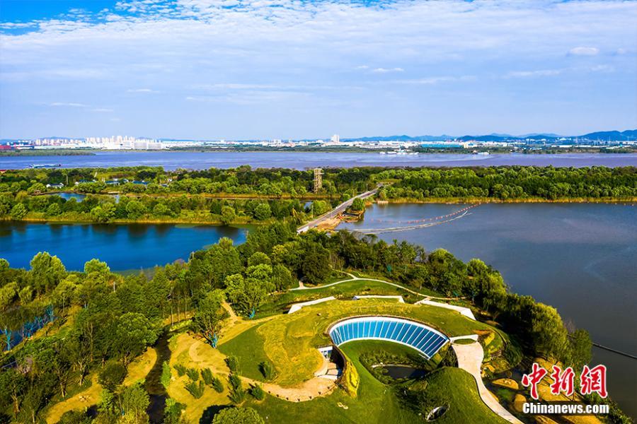 南京长江新济洲国家湿地公园.园方供图
