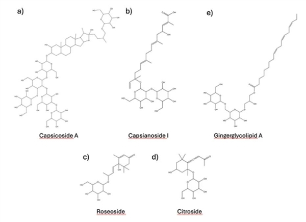 喜报!怕辣的人有救了:科学家在辣椒中找到了“防辣物质”