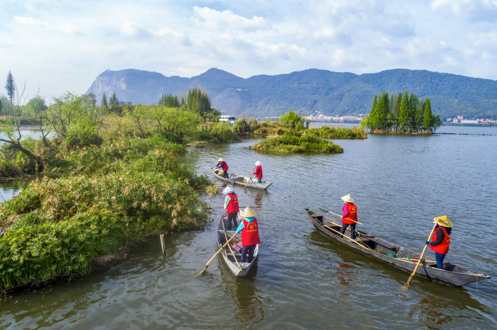 2023年3月20日,巾帼打捞队队员在云南昆明滇池草海打捞水草(无人机照片)。在云南昆明滇池边,活跃着一支由当地妇女组成的巾帼打捞队。数十年来,她们驾驶船只打捞滇池及周边入湖河道、湿地的垃圾、杂草等。