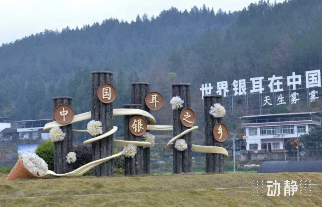 “银耳之乡”——通江县