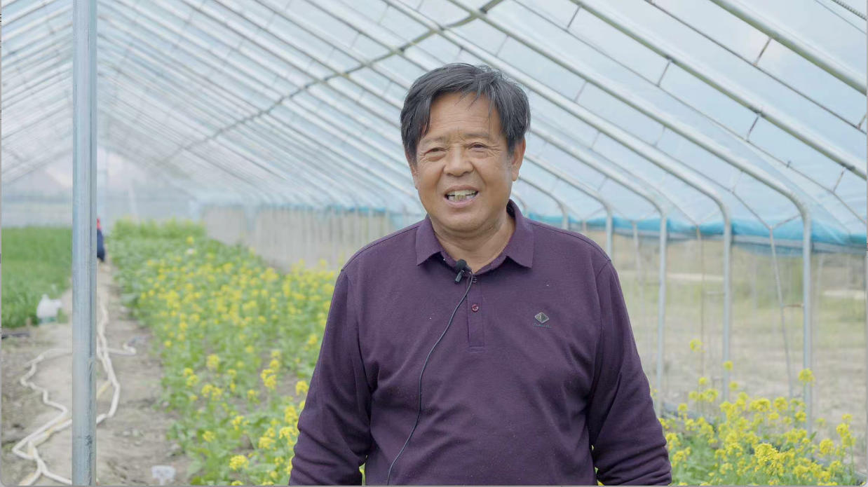 正在接受采访的陕西省航天育种工程技术研究中心地面选育基地负责人袁中权。人民网记者 次仁罗布摄
