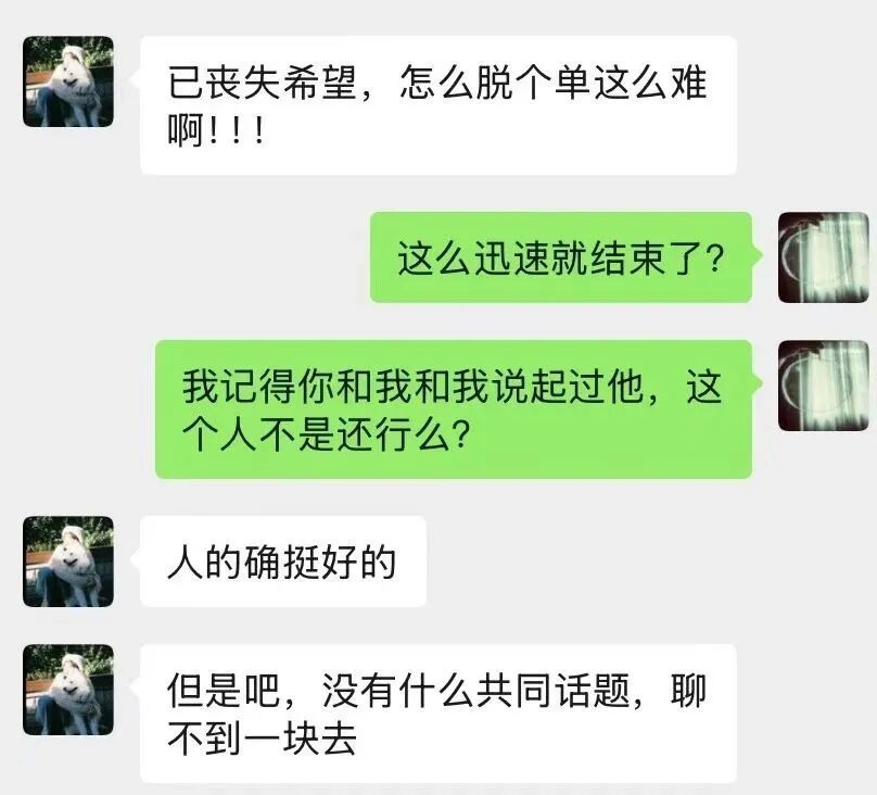 「聊不到一块去」,这句话我在朋友口中听到了不下五次。但要让她展开说说什么样的人能聊得来,她其实也很模糊。